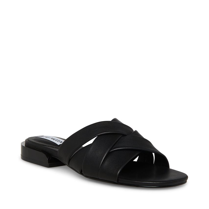 Black Steve Madden Kessy Women\'s Mules | PH 1067NQV